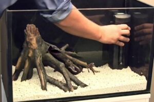 Select-Starting-A-Fish-Tank-For-Beginners-main-image