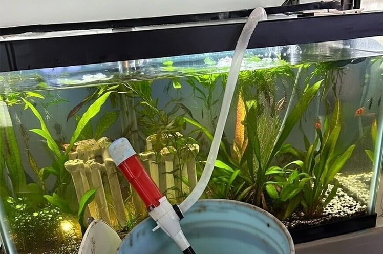 helping-a-friend-do-his-first-water-change