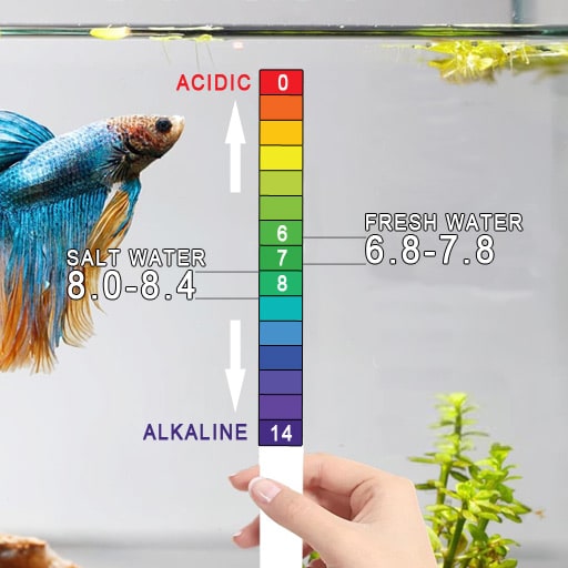 the acidic pH scale