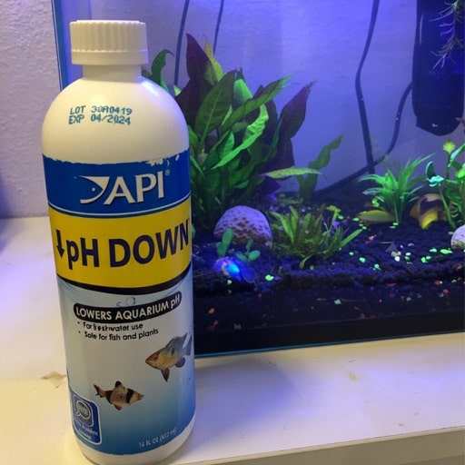 using-some-pH-down-in-my-struggling-fish-tank