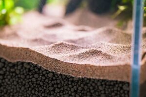 the-best-aquarium-substrate-post-main-image-2
