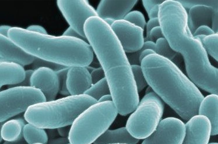 Best-aquarium-Starter-Bacteria-main-image