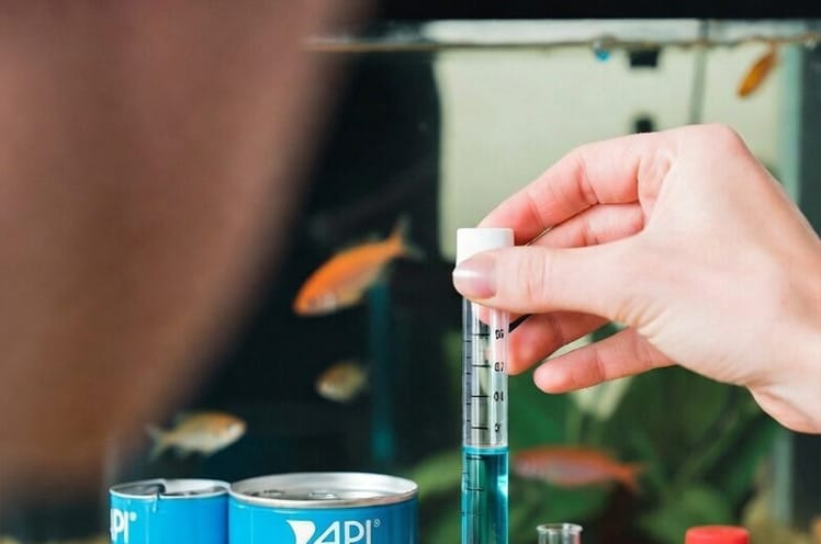 my-apt-test-kit-results-showing-high-pH