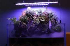Best-Fish-Tank-Light-for-Plants-main-2