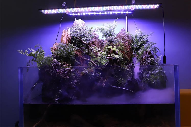 Best Aquarium Light for Plants Best-Fish-Tank-Light-for-Plants-main-2