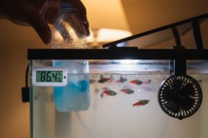 How-to-Cool-Fish-Tank-Water-Safely-main-img-fish-tank-faq
