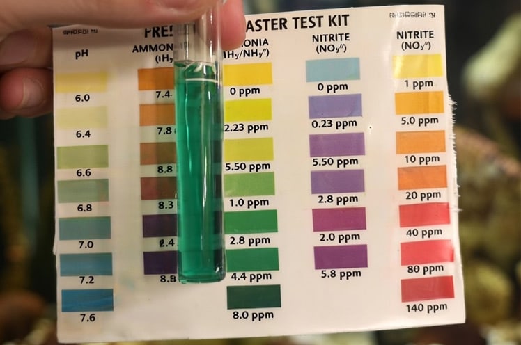 how-to-lower-aquarium-ammonia-levels-main-image