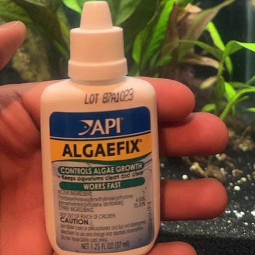 I-use-api-algaefix-rarely-but-it-does-work-well