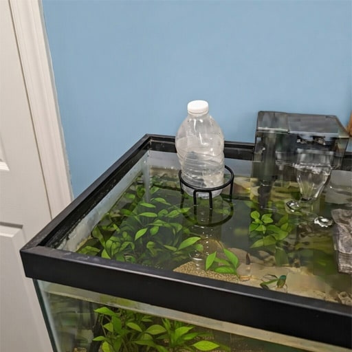 a-frozen-bottle-of-water-slowly-cooling-down-my-fish-tank-water-aug-2018