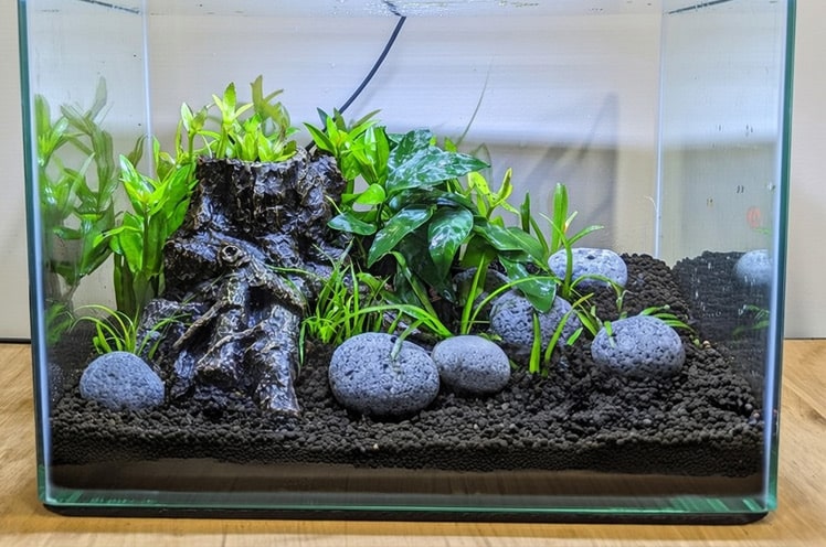 a-tank-ready-for-water-with-the-slope-of-aqua-soil-and-plants-added