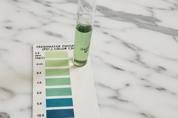 after-30-percent-water-change-my-phosphate-lavels-are-back-to-normal