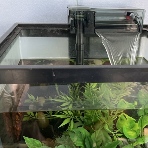 the aqua clear 50 is a solid choice and a real work horse for an aquarium pump