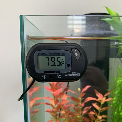 my aquarium heater set to about 80 degrees Fahrenheit to hurry up my nitrogen cycle.