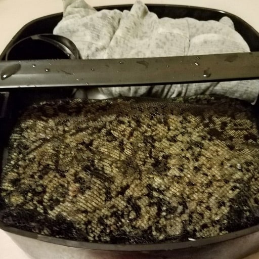 chemical-filter-media-in-my-canister-filter-box-for-my-fish-tank