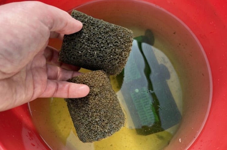 cleaning-filter-in-a-bucket-is-a-simple-way-to-lower-nitrates
