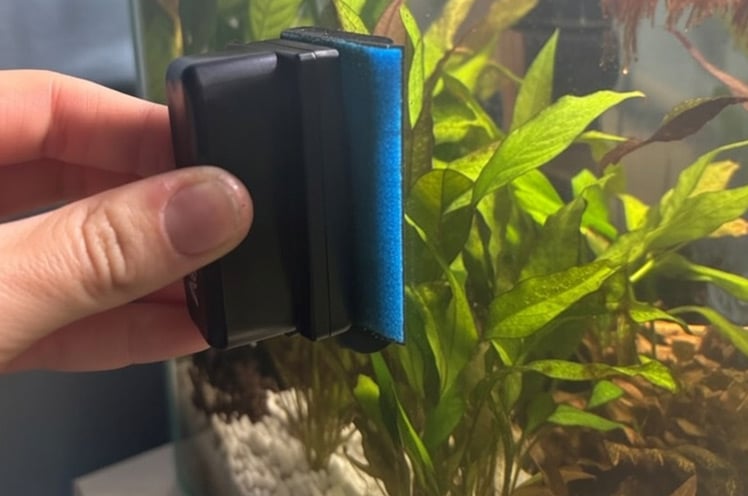cleaning-my-tank-with-my-magnetic-scraper