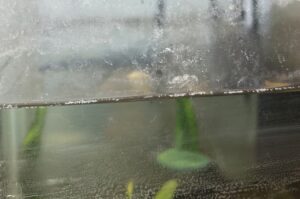 reduce-aquarium-water-hardness-main-image