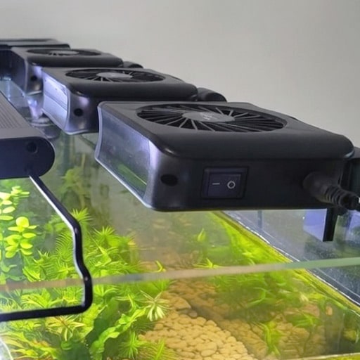 my-Hygger-aquarium-cooling-fans-clipped-to-the-side-of-my-fish-tank-2