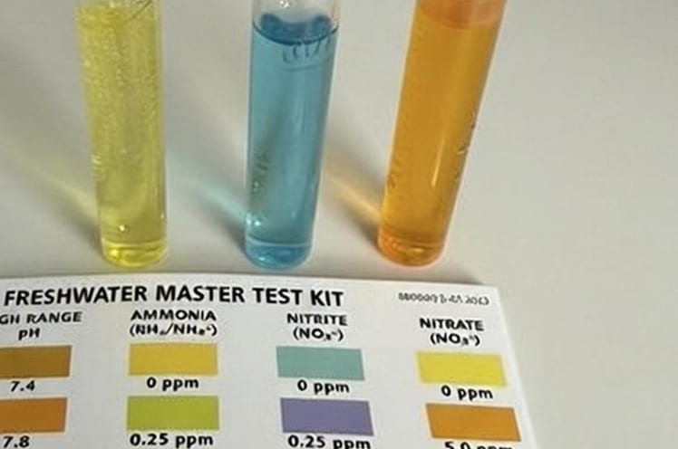 my-liquid-test-kit-giving me-nitrate-test-results