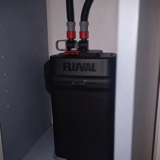 such-a-quiet-filter-loving-the-canister-filter