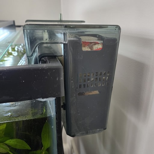 th-fluval-c4-working-hard-and-keeping-the-water-clean