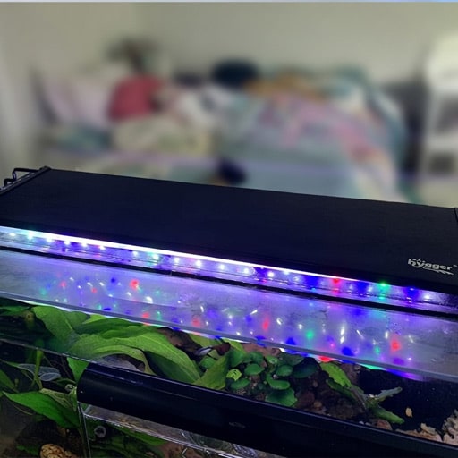 the-new-hygger-light-on-the-bedroom-tank