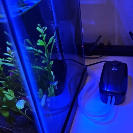 this-uniclife-dual-outlet-air-pump-is-awesome