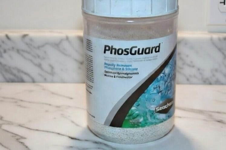 using-seachem-phosguard-as-a-maintenence-tool-has-been-a-game-changer-for-my-community-tank