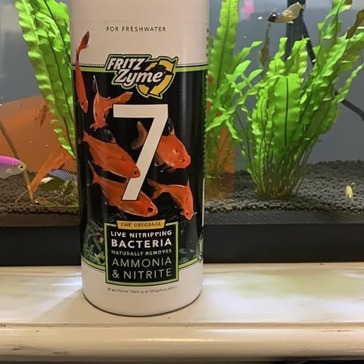 I-just-added-FritzZyme-7-to-the-filter-in-my-50-gal-tank