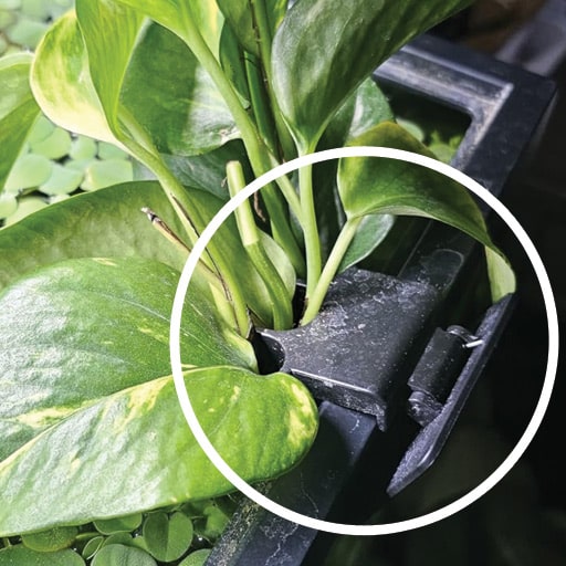 these-little-plant-holders-work-great