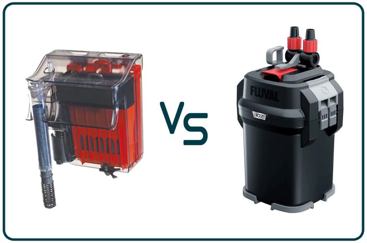 Canister vs HOB filters - When to Actually Switch