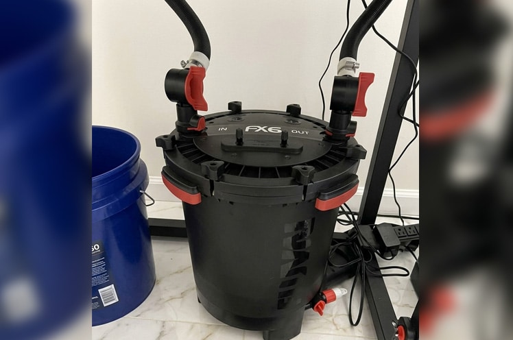 Fluval fx6 set up and running my clients 125 gallon tank