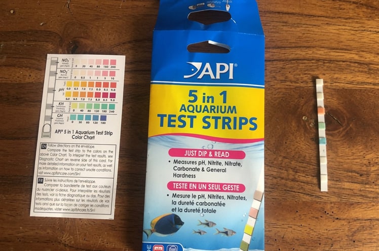 API 5-in-1 aquarium test strips ready for testing