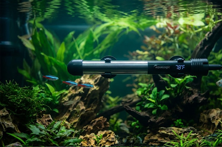 Best fish tank heater mounted diagonally inside a planted freshwater aquarium