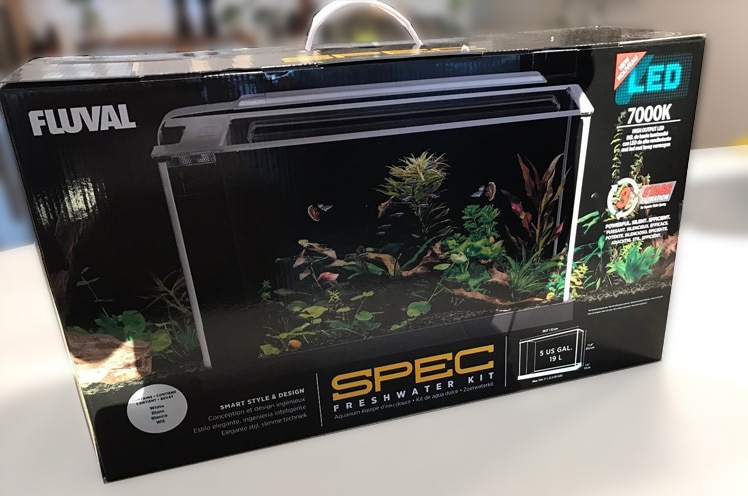 The all-in-one fluval spec V nano aquarium tank kit