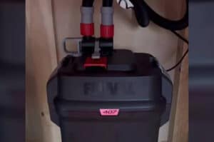 my fluval 407 canister filter keeping my tank clean