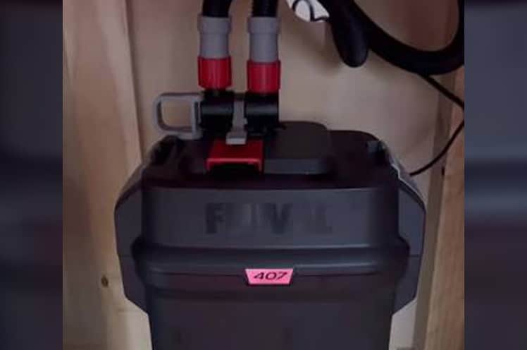 my fluval 407 canister filter keeping my tank clean