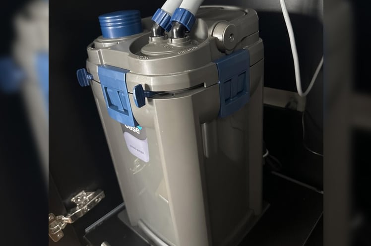 this oase biomaster thermo 350 is great a keeping the tank clean and warm.
